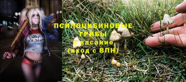 прущий лед Абаза