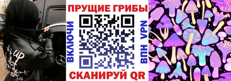 Псилоцибиновые грибы мицелий  цена   Копейск 